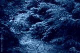 preview cold