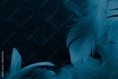 image to crop