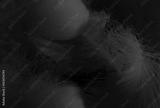 preview bw