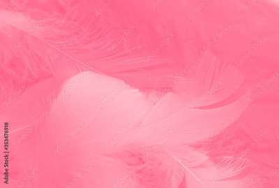 image to crop