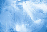 preview original