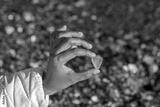 preview bw