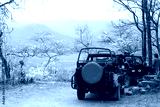 preview cold
