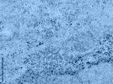 preview cold