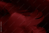 preview original