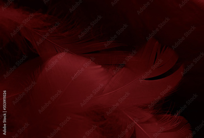image to crop