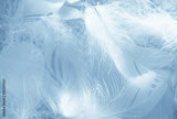 preview original