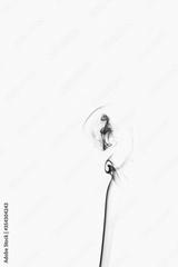 preview bw