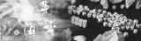 preview bw