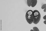 preview bw