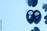 preview cold