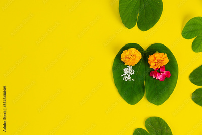 image to crop