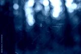preview cold