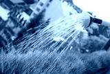 preview cold