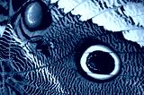 preview cold