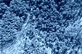 preview cold