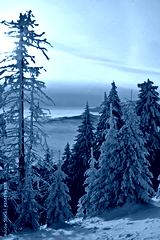 preview cold