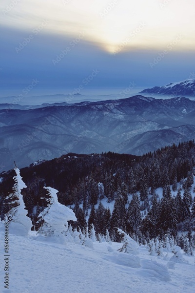 image to crop