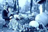 preview cold