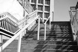 preview bw