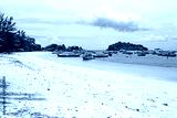 preview cold