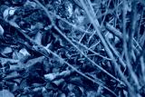 preview cold