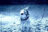 preview cold