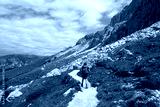 preview cold
