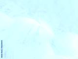 preview cold