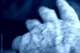 preview cold