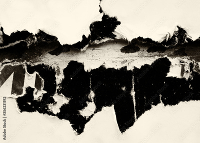 image to crop