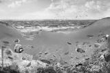 preview bw
