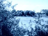 preview cold