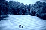 preview cold