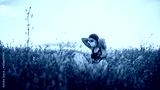 preview cold