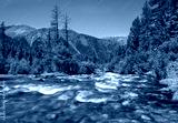 preview cold