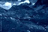 preview cold