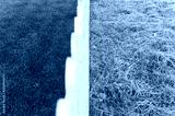 preview cold