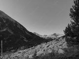 preview bw