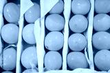 preview cold