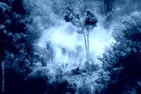 preview cold