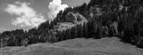preview bw