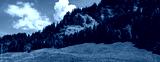 preview cold