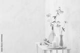 preview bw