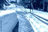 preview cold