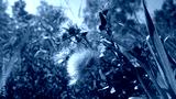 preview cold