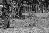 preview bw