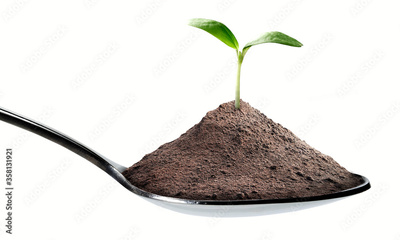 image to crop