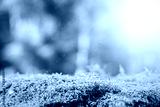 preview cold