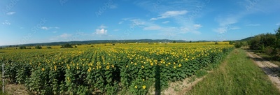 image to crop